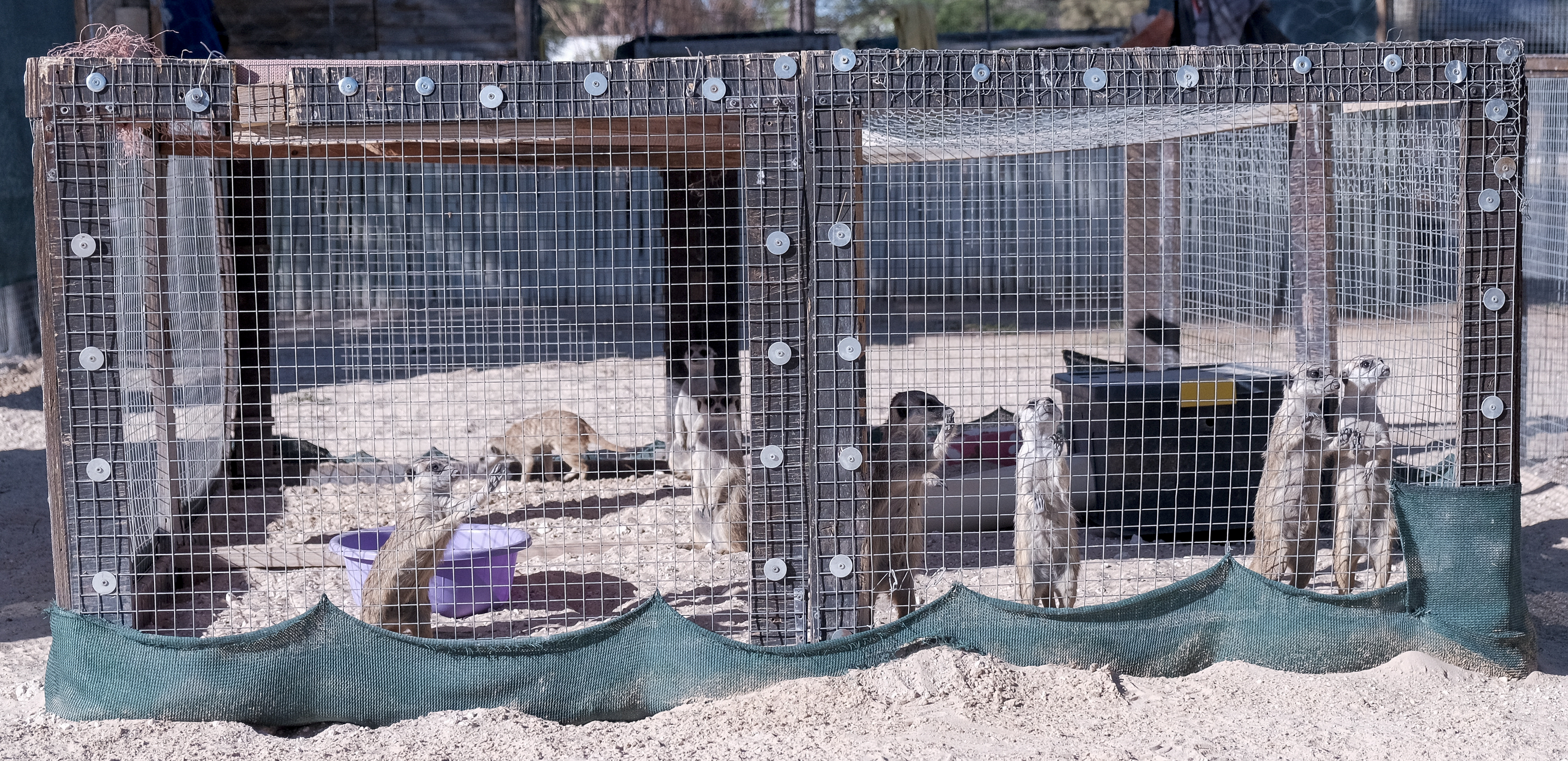 Stunning Kalahari desert landscape where meerkats are rehabilitated and released